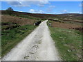 Track Crossing Long Gill