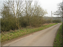 SU6856 : Wildmoor Lane by Mr Ignavy