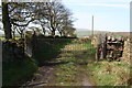 SD8643 : Track leading to the Pendle Way by Dr Neil Clifton