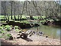 Broken weir on the Churnet