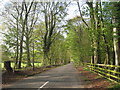 The lane into Welton le Wold