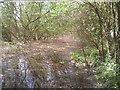 The remains of the Thames & Medway Canal near Higham