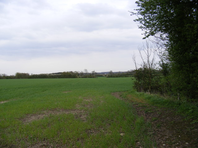Footpath to Cransford