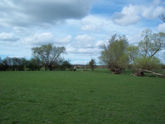 Fields next to the Teme