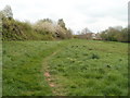 Caerleon : Track from Home Farm Green to Eleanor Hodson House