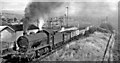 Westbound coal train near Bonnybridge (High)