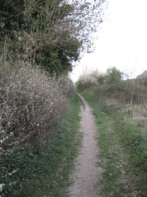 Footpath between Hockley golf course and Twyford