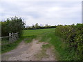 Footpath to the B1120 Badingham Road