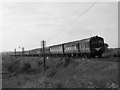 Train at Ballyboyland crossing