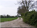 TM3978 : Footpath to Loam Pit Lane & entrance to Town Farm by Geographer