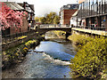 River Sow, Stafford