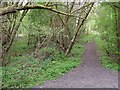 Junction of the branch to New Lount colliery