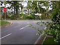 Road junction with the A285 near Duncton Common