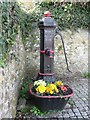 Jubilee water pump, Penally