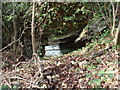 Ogof Edi Gawr Cave, Llanedi