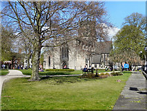 SJ9223 : The Collegiate Church of St Mary, Stafford by David Dixon