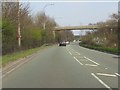 Footbridge over Birchwood Way