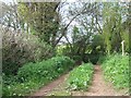 Footpath at Bonson