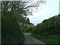 Country road near Wrenmore