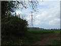 ST2342 : Field and pylon at Knaplock Farm by David Smith