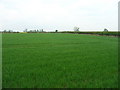 Farmland off Wynam Lane