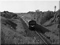 Train at Two Mile Bridge, Coleraine