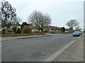 Looking back down Broomfield Avenue towards Cranleigh Road