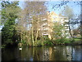 Brooklands Pond, Blackheath Park