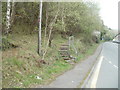 Steps from Foundry Road into a wood, Abersychan