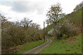 Track alongside Afon Cerdin