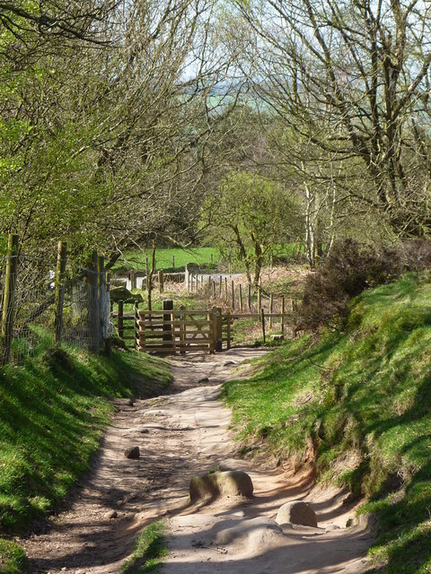 Footpath to Birchover Road