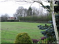 Meadow at Golden Acres Garden Centre, Landford