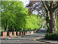 Clarendon Street on a spring morning