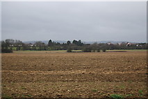 TQ6448 : Farmland north of Golden Green by N Chadwick