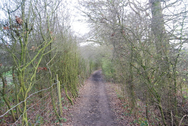 The LOOP, Moat Mount Open Space © N Chadwick :: Geograph Britain and ...