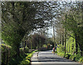 2011 : Maud Heath Causeway at East Tytherton