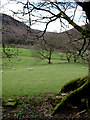 Tywi Valley pasture near Rhandirmwyn, Carmarthenshire