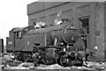 A Suburban tank engine at Neasden Shed, getting attention