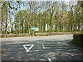 Looking across to Limekiln Wood off the A162