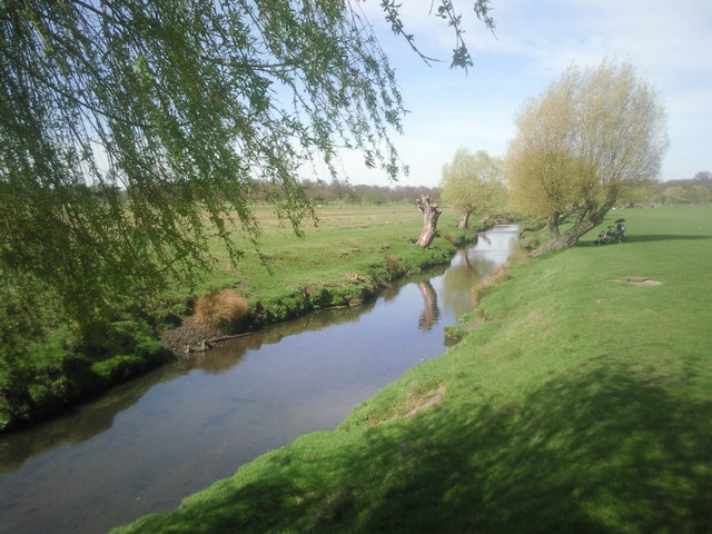 Beverley Brook in Richmond Park