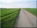 The lane from Poolthorne Farm