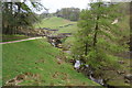 Brandstone Beck