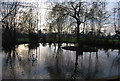 Pond south of Mote End Farm