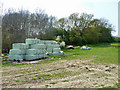 TQ6366 : Green bales near Shipley Hills by Robin Webster