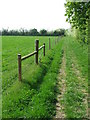 Footpath And Fence