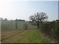 Fields near Heath End