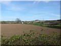 Countryside near Chetnole