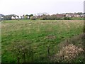 Pulborough seen across marsh from the A29