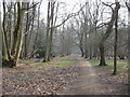 The Chiltern Way above Aldbury