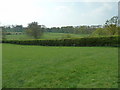 River Arun floodmeadow